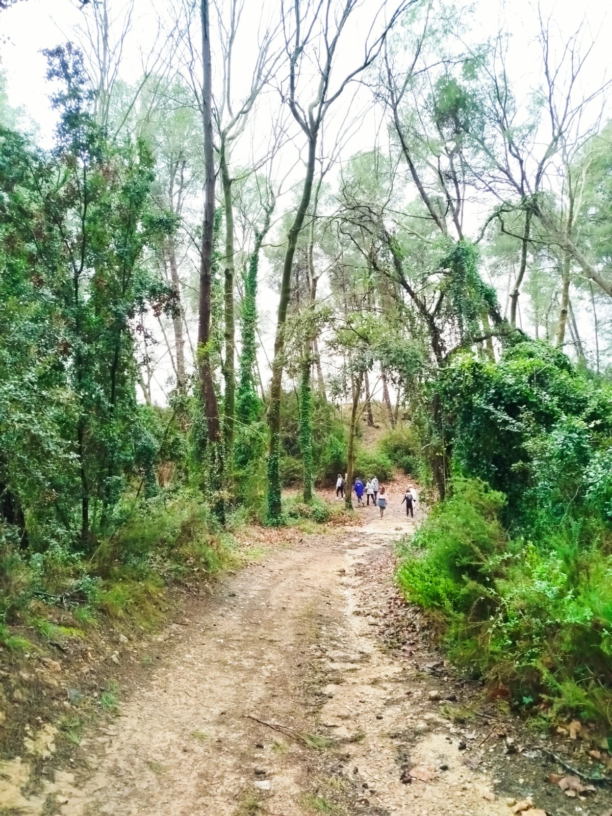 95b9b374 adee 4a19 a96f 960ed3af59ed