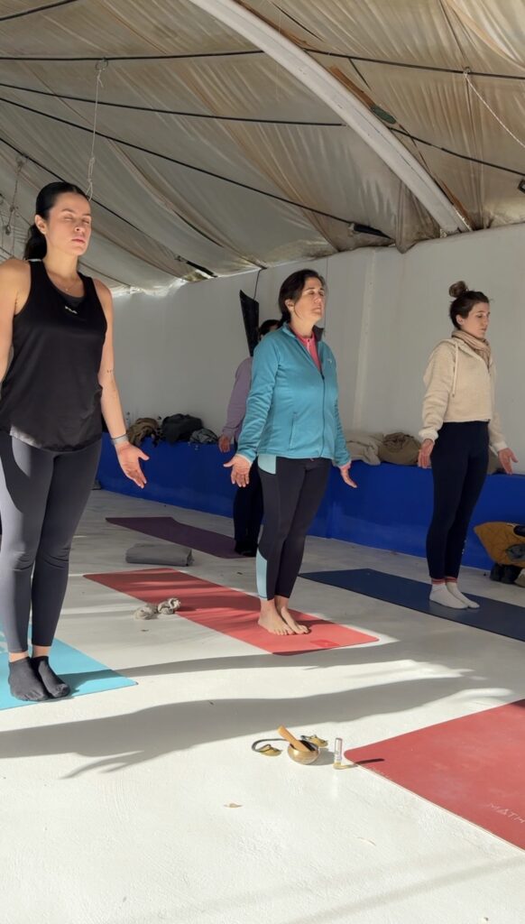 screenshot screenshot